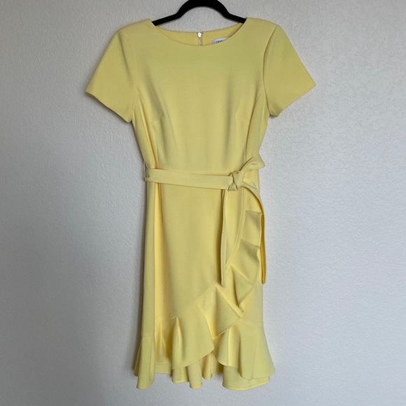 NWOT Calvin Klein Ruffle Trim Dress Sz 8P - Picture 3 of 7